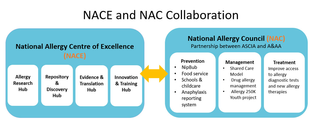NACE NAC Collaboration