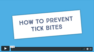 NAS how to prevent tick bites